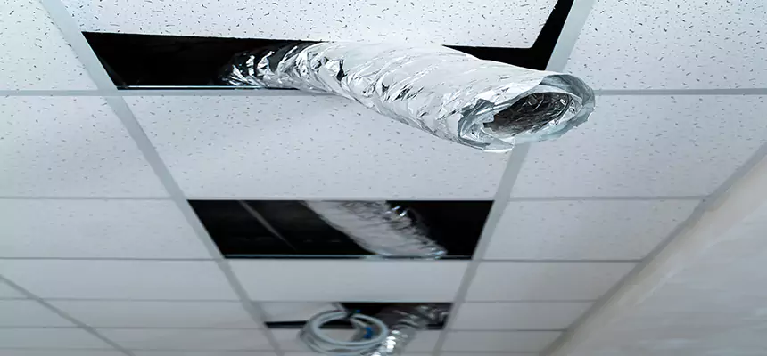 Our Air Duct Pet Hair Removal Services in Richland, WA