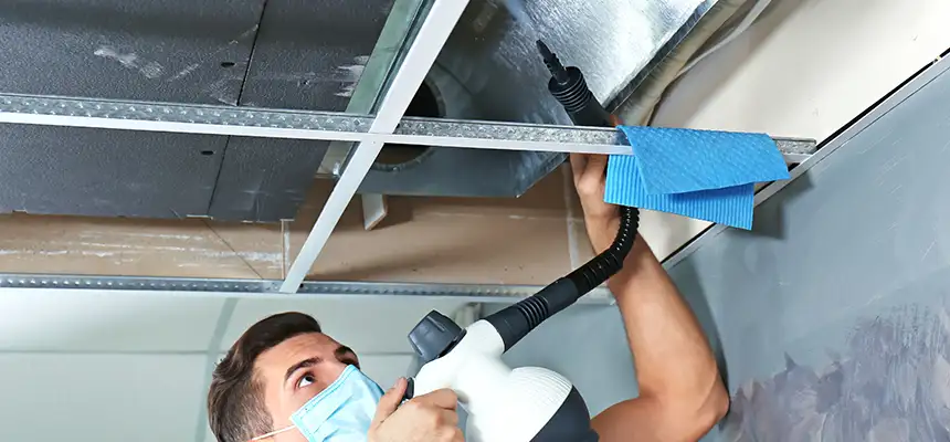 Our Air Duct Rodent Removal Services in Richland, WA