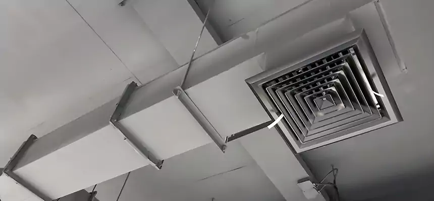 Our Rodent Droppings In Vents Services in Richland, WA