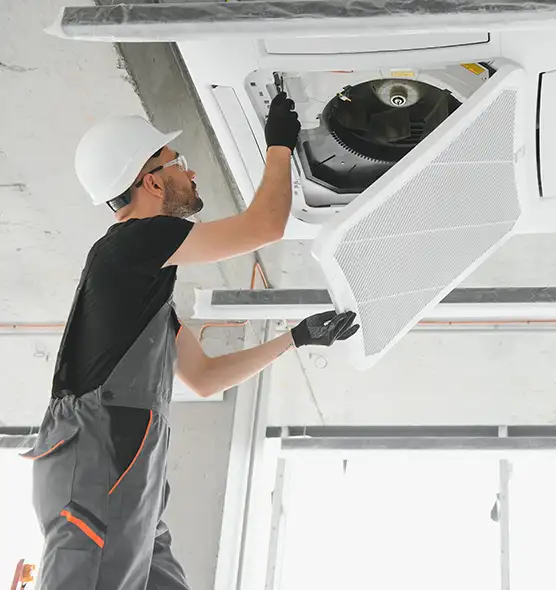 About Air Duct Rodent Removal in Richland, WA