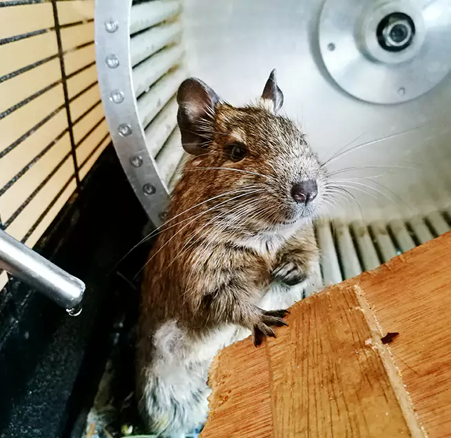 Why Homeowners & Businesses Trust Us Richland, WA